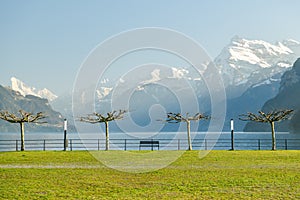 Small park in Brunnen, Switzerland at the shores of Lake Lucerne