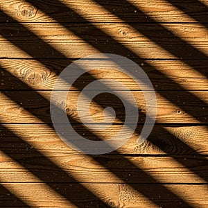 Small particles or dust are visible in the light, adding texture to the scene