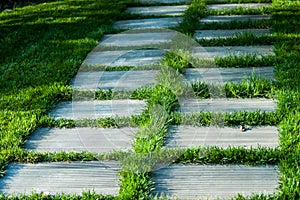 Small path with grass