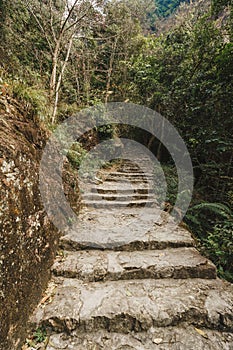 Small path, Hiking trail in the mountains