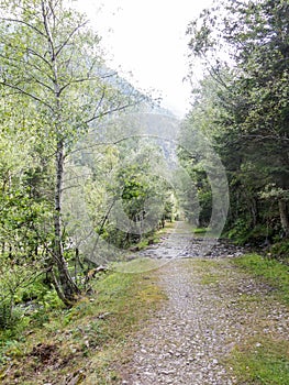 Small path or trekking of walks in the Pla De Boavi; Catalan Pyrenees. Catalonia, Spain