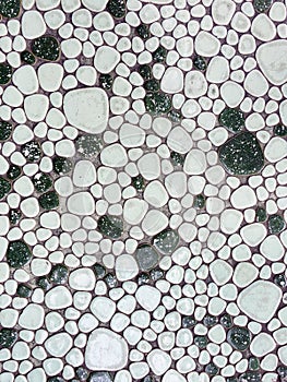 Small pebble pattern decoration on wall.