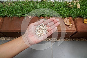 Small pebble in woman hand for garden decoration