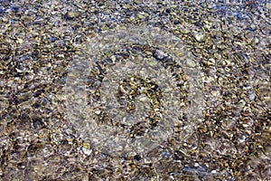 Small pebbles bathing in the sunny sea shore