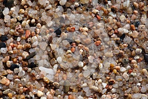 Small pebbles on the beach close-up