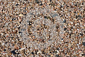 Small pebbles on the beach close-up