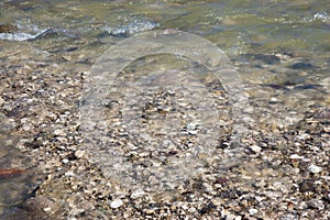 Small pebbles in a clean mountain river