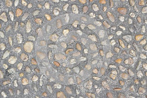 Small pebbles embedded in the ground photo