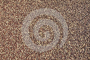 Small pebbles ground