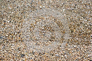 Small pebbles and sand seabed background texture under clear shallow sea water, top view