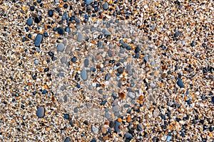 Small pebbles and shellrock background