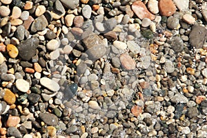 Small pebbles pebbles under the water surface photo background