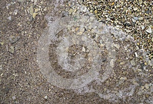 Small pebbles and wet sand on the sea beach; water line.