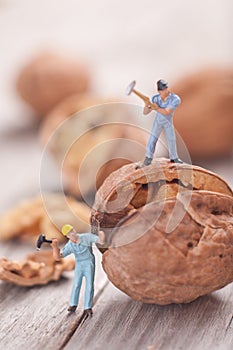 Small people split the walnut. The concept of cooking