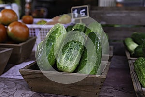 Small pickling cucumbers at farmers market