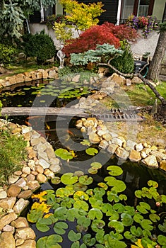 Small picturesque garden with a pond, water lilies and stones