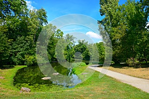 Small picturesque lake in a city park