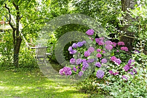 A small picturesque overgrown garden in Hamburg. In the background, a wooden table with chairs invites to linger. In