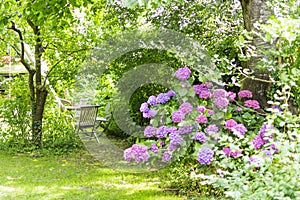 A small picturesque overgrown garden in Hamburg. In the background, a wooden table with chairs invites to linger. In