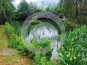 A small picturesque private pond in the village of UrnÃ¤sch Urnaesch or Urnasch - Canton of Appenzell Ausserrhoden, Switzerland