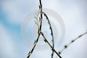 A small element of barbed wire on a General developed background photo