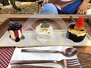 Small piece of blueberry cheesecake, coconut cream cake and chocolate cake served in minimal cafe with dessert fork and spoon