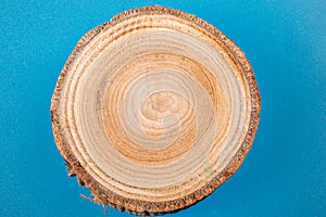 Small piece of cut wood log in round shape