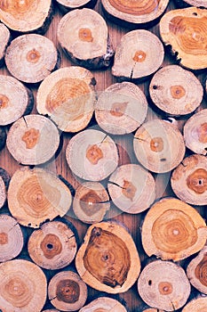 Small piece of wood logs used for design decorated interior