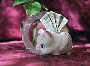 Small piggy bank with twenty dollars and a beautiful rose in the background
