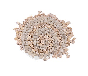 a small pile of barley grains