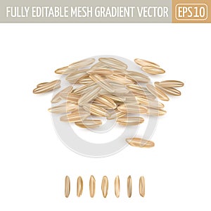 Small pile of long grain brown rice.