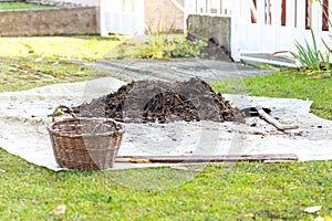 Small pile of rotted manure on tarp in the front yard. Garden shovel and basket near heap. Concept of organic farming