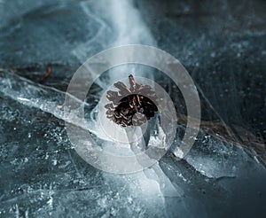 A small pine cone rests comfortably on a crack of ice on a frozen lake