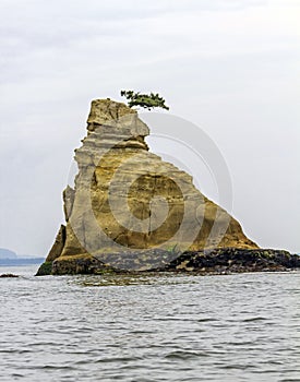 Small pine on the top of a rock protruding from the sea, Japan