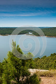 A small pine tree dominates the foreground as you look out over Greer`s Ferry lake photo