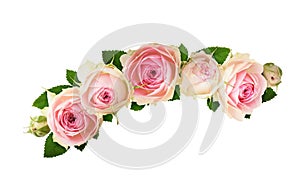 Small pink rose flowers in a floral arrangement isolated