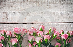 Small pink rose on white wooden table, border