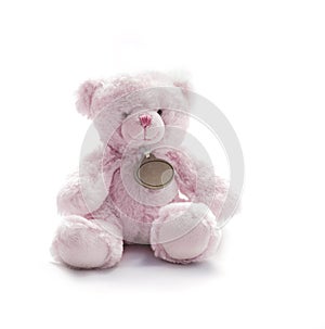 Small Pink Teddy Bear Toy on white background