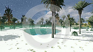 Small placid lake between palms trees at snow