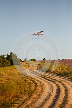 Small plane flies over country road and lavender