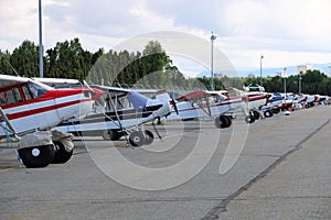 Small planes parked in a row