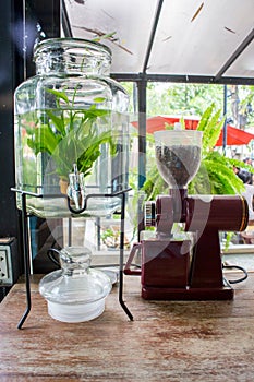 A small plant pot displayed in the window