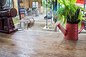 A small plant pot displayed in the window