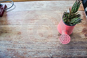 A small plant pot displayed in the window