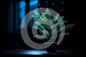 a small plant in a pot on a table in front of a window