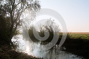 Small plants in the valley reflected in the river below