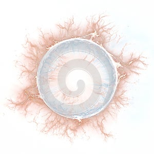 Small Plasma Orb with Branching Discharges