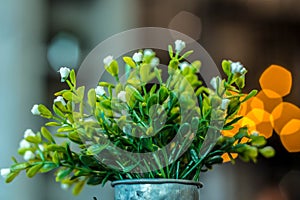 Small plastic flowers in a pot with pentagon bokeh