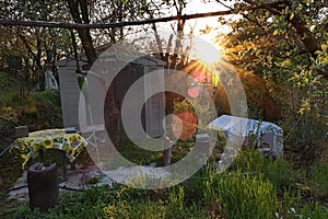 Small plastic garden tool shed slightly overgrown with moss from the front side