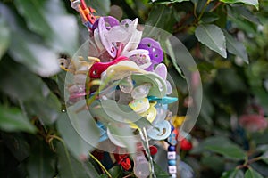 Small plastic pacifiers hanging from the plants